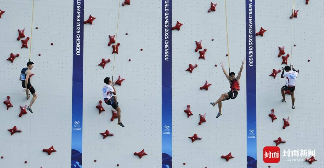 img, msn, forma